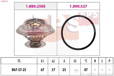 Termostat, soğutma sıvısı Made in Italy - OE Equivalent