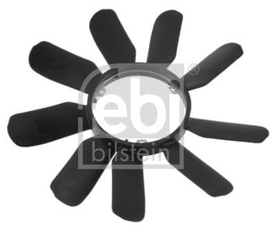 Fan göbeği