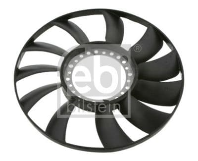 Fan göbeği