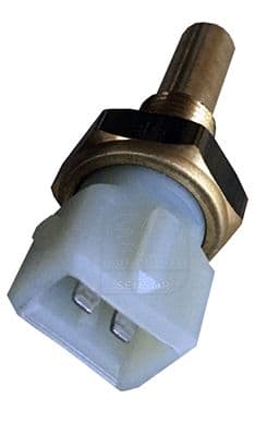 Sensör, silindir kafası sıcaklığı EFI - SENSOR