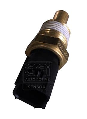Sensör, yağ sıcaklığı EFI - SENSOR