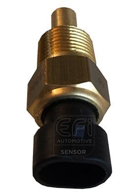 Sensör, yağ sıcaklığı EFI - SENSOR