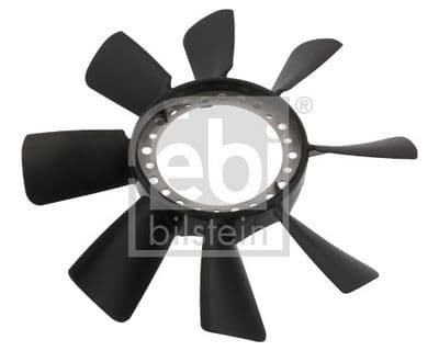 Fan göbeği
