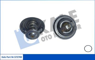 Termostat, soğutma sıvısı