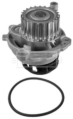 Su pompası, motor soğutması
