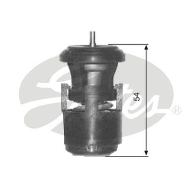 Termostat, soğutma sıvısı